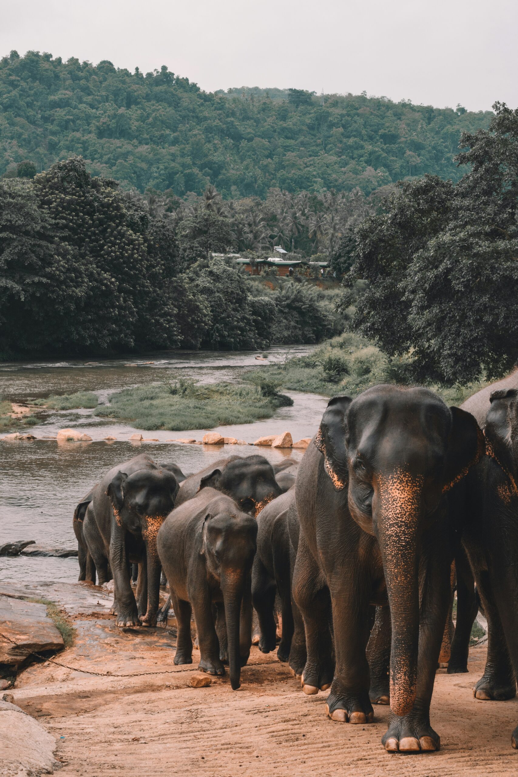 alex-azabache-hZhhVLLKJQ4-unsplash