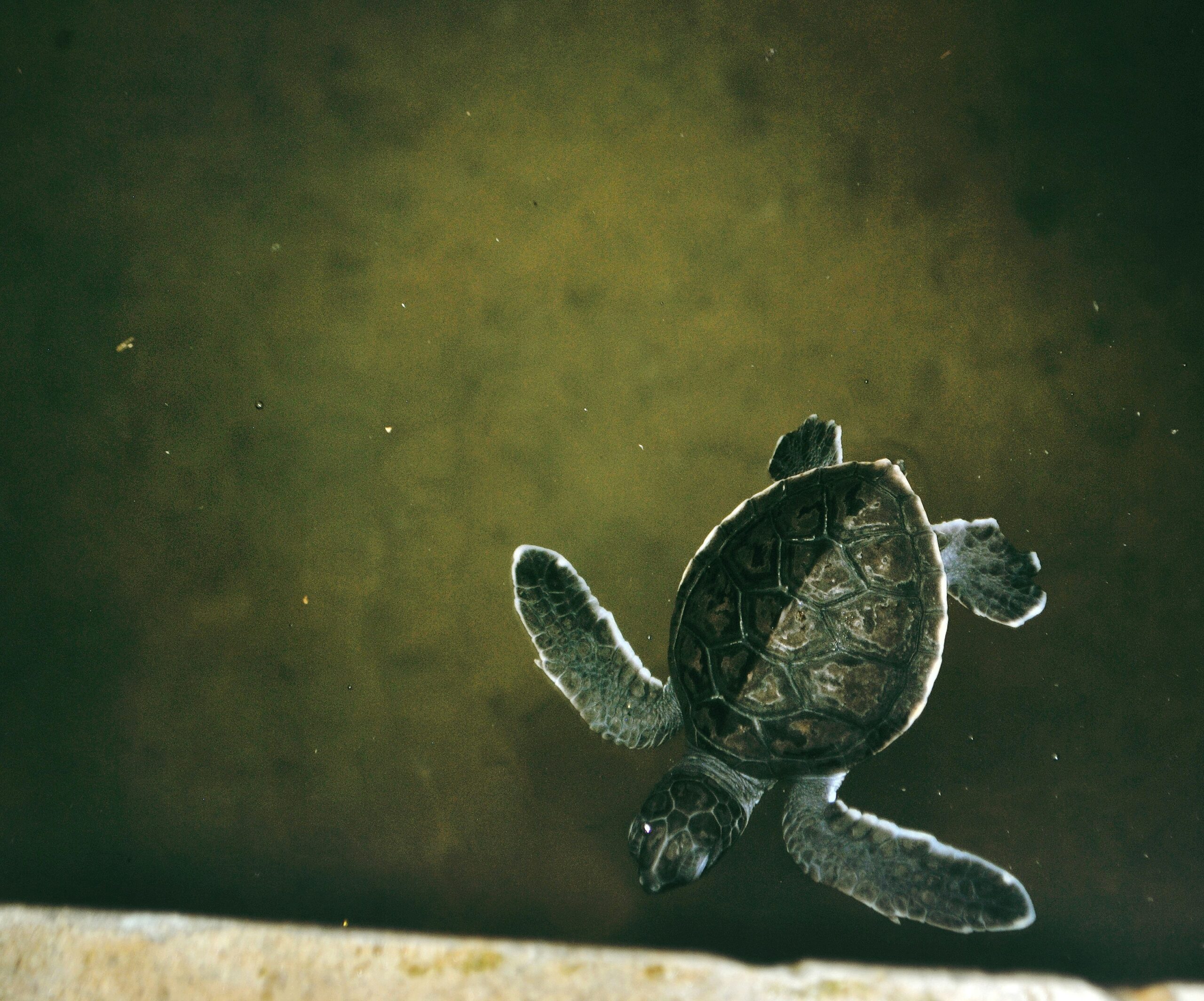 drew-farwell-DpwoFJMqfpo-unsplash