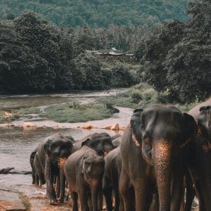 alex-azabache-hZhhVLLKJQ4-unsplash