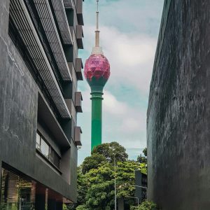 dasith-kavin-z8i0mTmTZho-unsplash