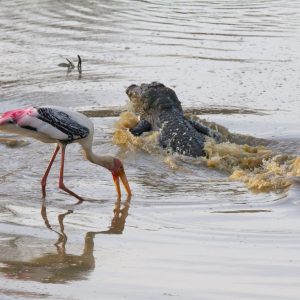 geoff-brooks-JBXyPzIwB9c-unsplash