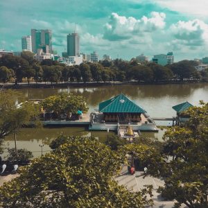 pexels-amayuru-2370934 (1)