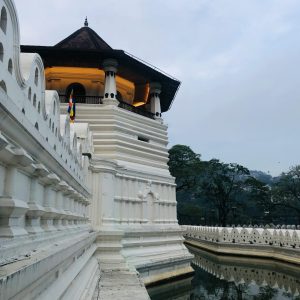 pexels-anushka-shashimal-104293084-32678292