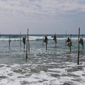 pexels-elina-sazonova-4403967 (2)