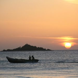 pexels-himath-gamage-264148772-12711969 (1)