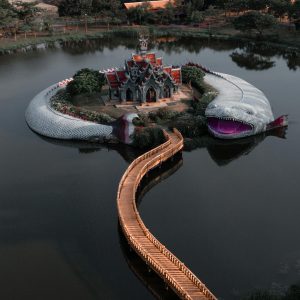 pexels-idz95-3538236