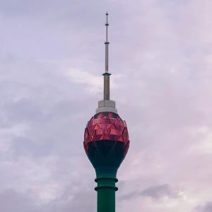 pexels-jalitha-hewage-1324742-2547175