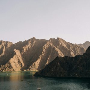 pexels-lina-12238400