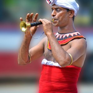 pexels-pixabay-57457