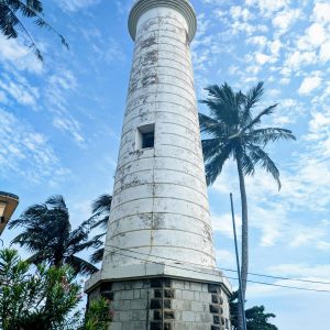 pexels-pooja-obeysekara-2153476481-32767532