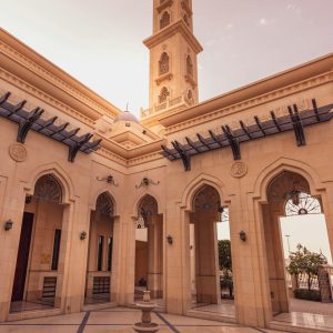 pexels-walidphotoz-1064766